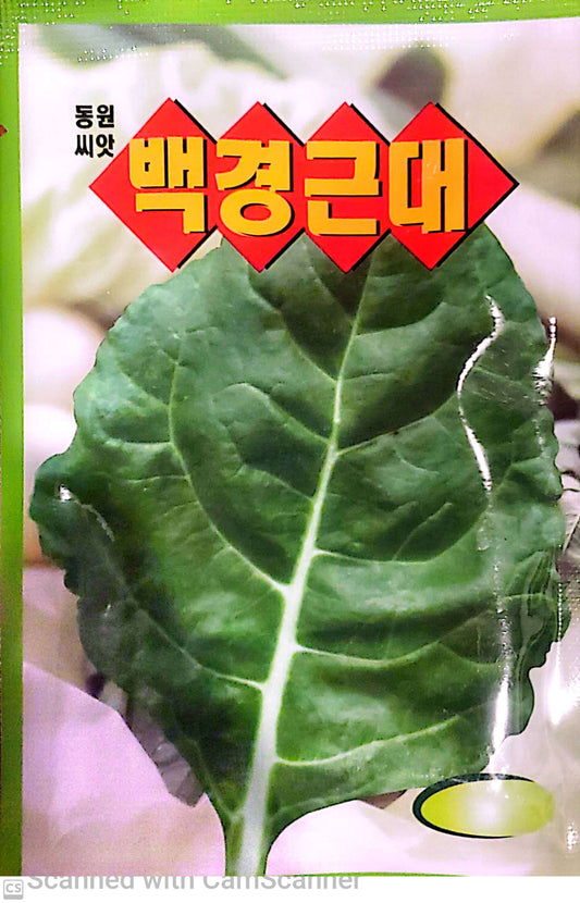 백경근대