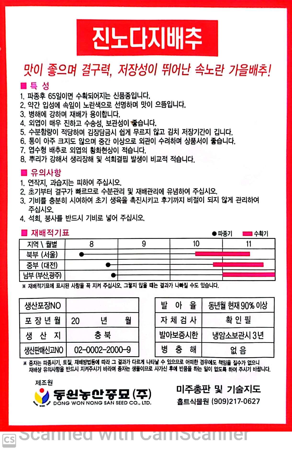 배추 진노다지 가을 배추