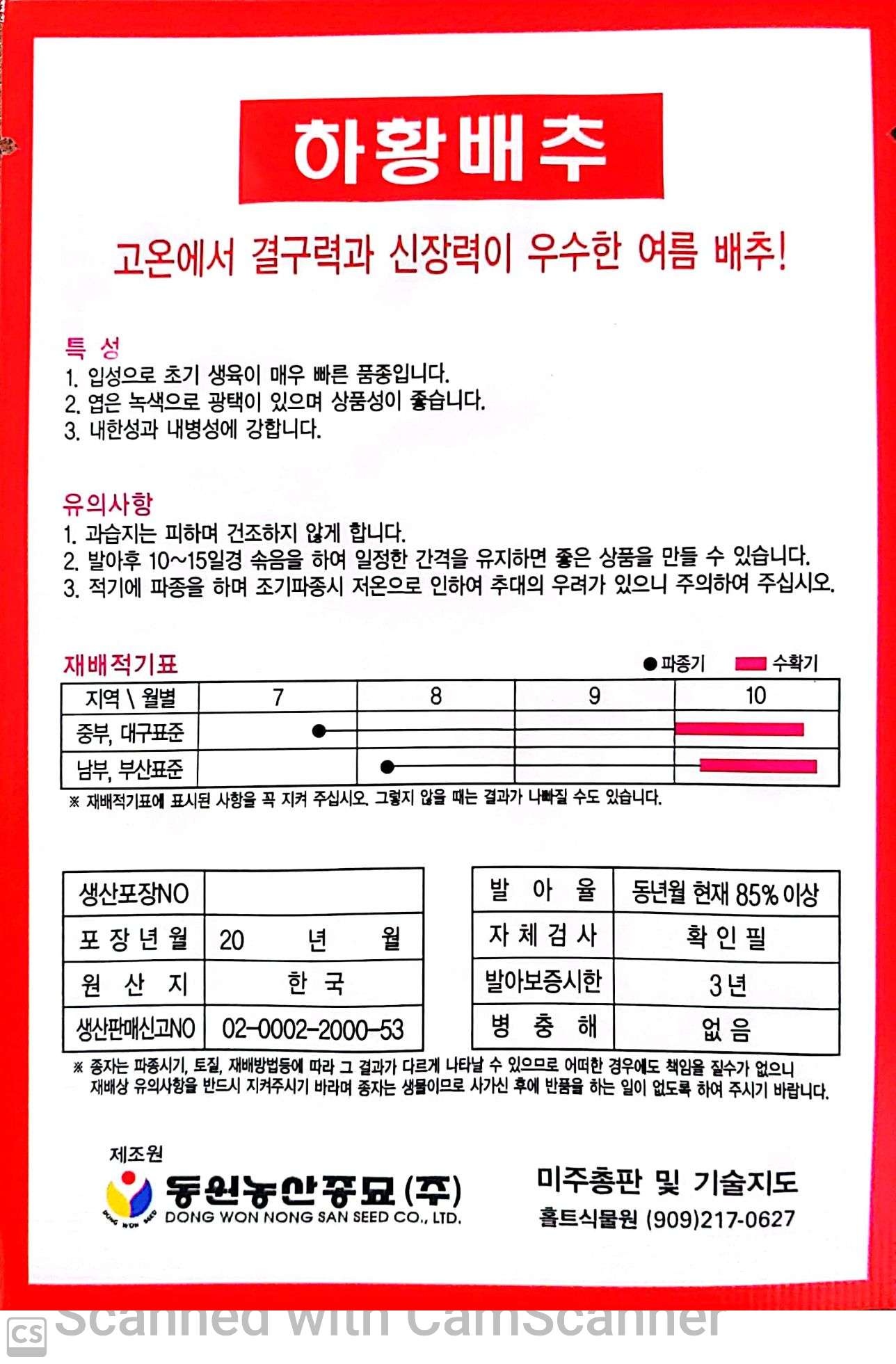 배추 하황 배추 (여름 배추)