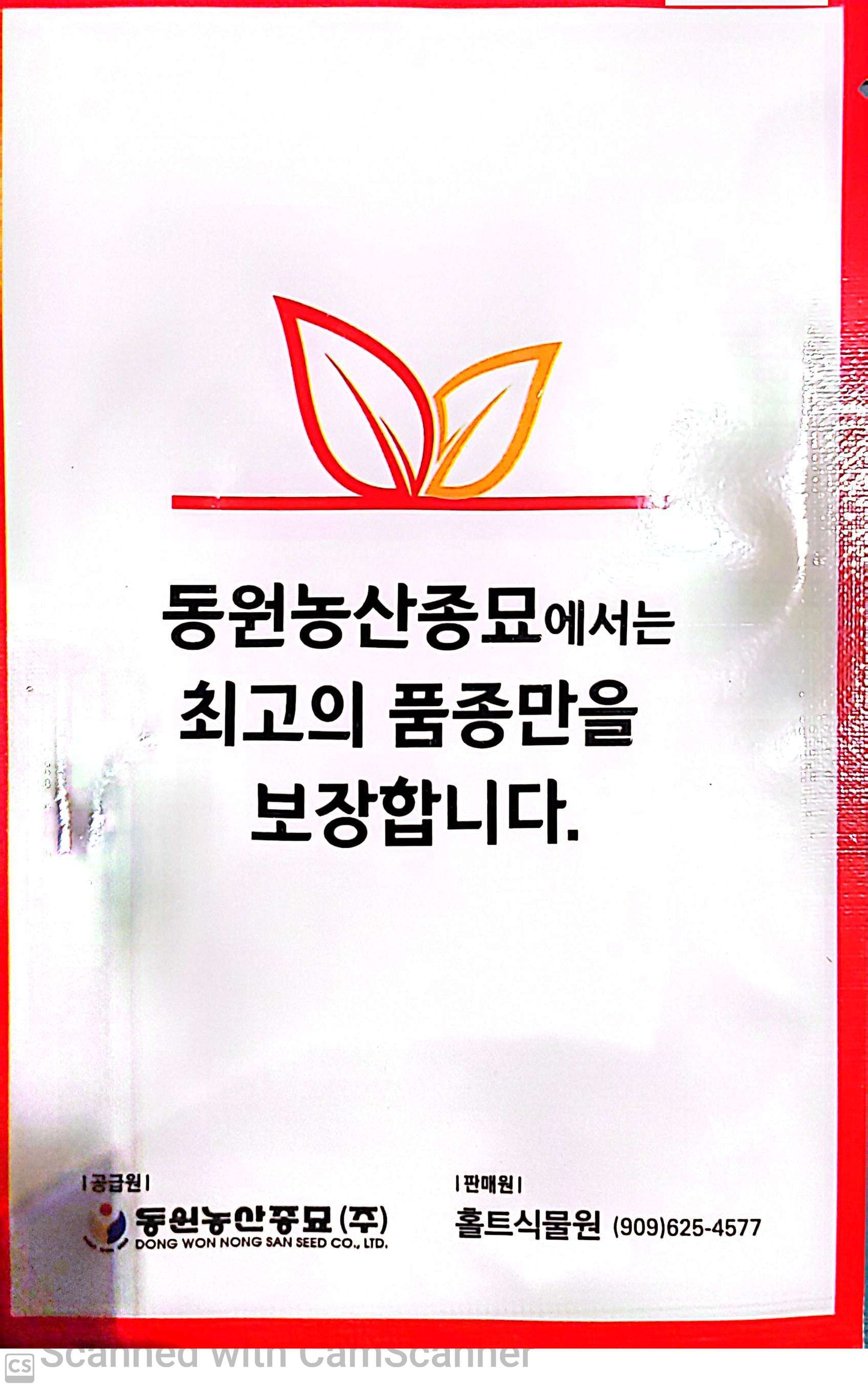 밤 호박  Sweet Pumpkin