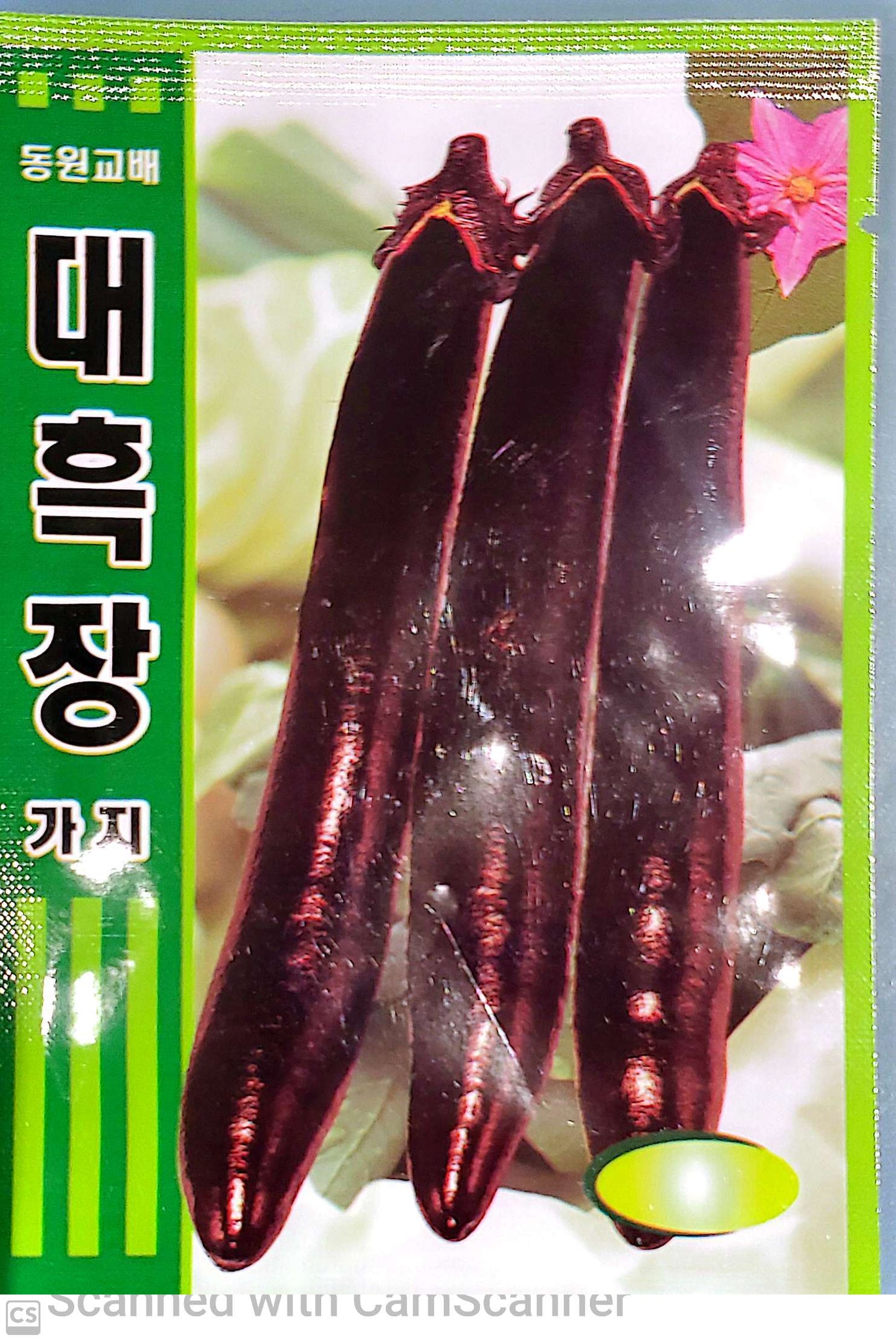 가지 대흑장가지 Egg Plant