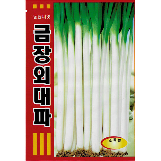 대파 금장외대파 Green Onion (Scallions)