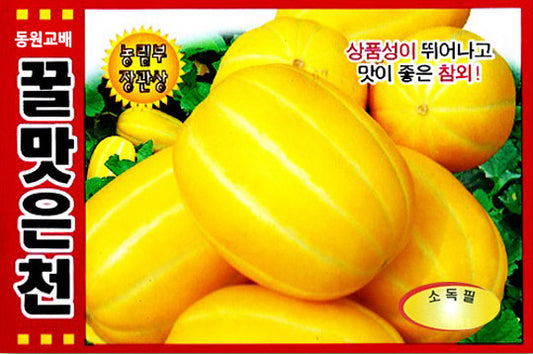 참외 꿀맛 은천 참외 Korean Melon
