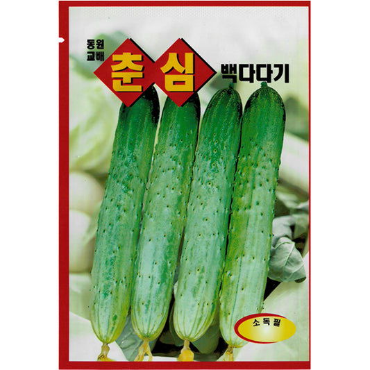 오이 춘심 백다다기 오이 Cucumber