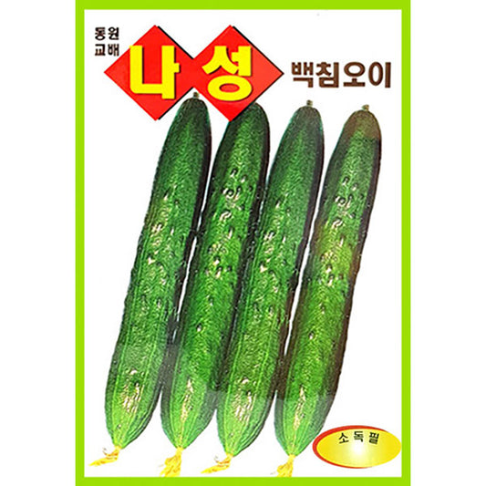 오이  나성백침오이  Cucumber