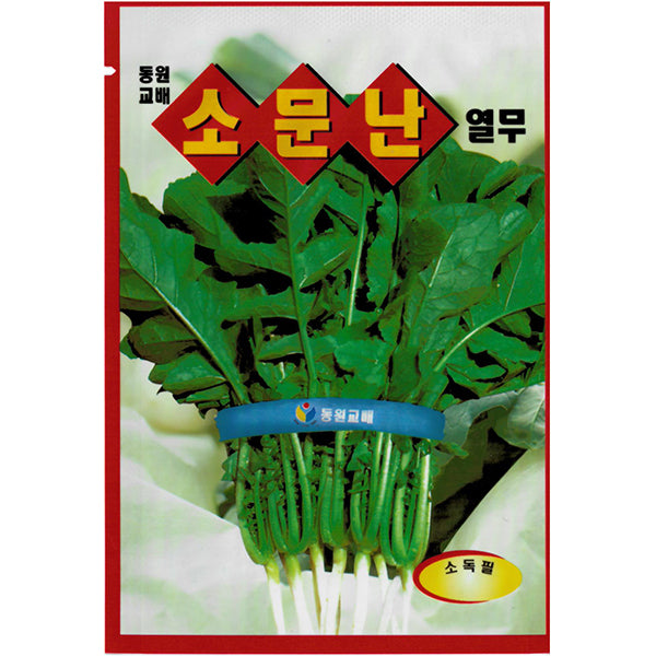 소문난열무