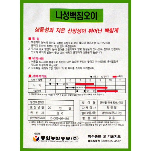 오이 나성백침오이 Cucumber