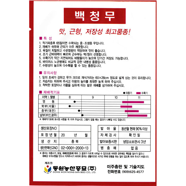 무우 백청무 Radish