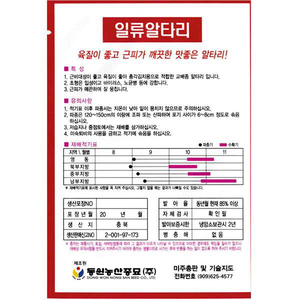 일류알타리