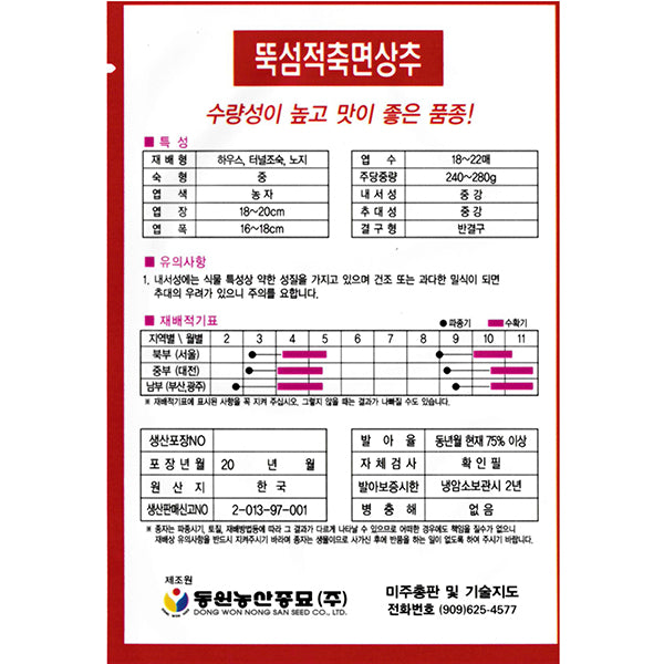 뚝섬적축면상추