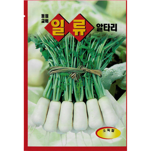 일류알타리