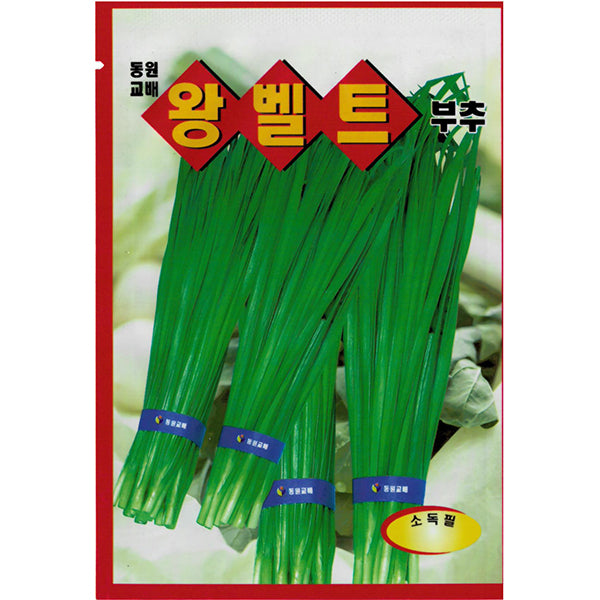왕벨트부추