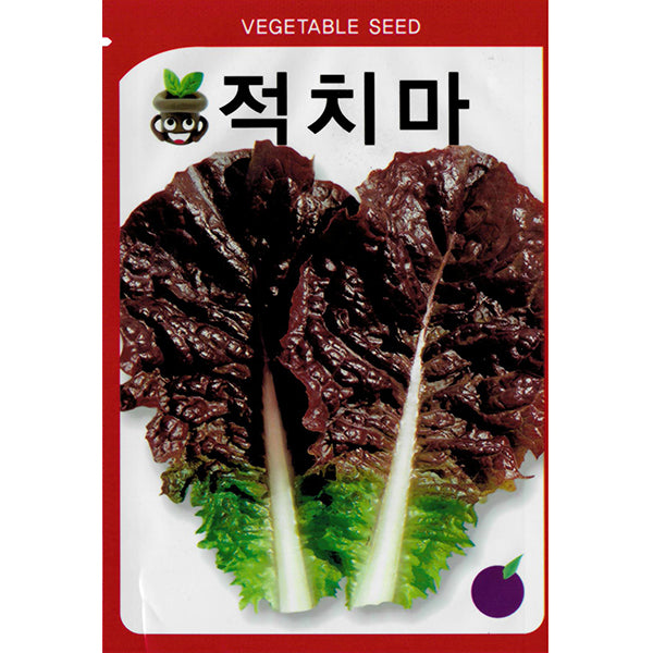 적치마상추