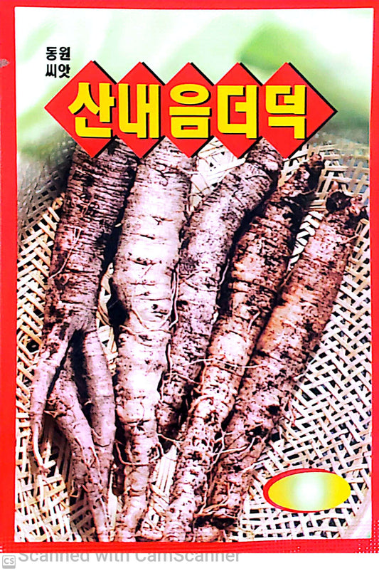 산내음 더덕 Deodeok  (Lance Asibel)