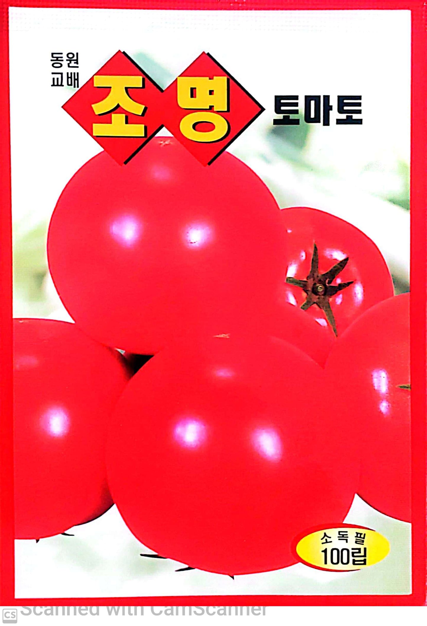 조명 토마토