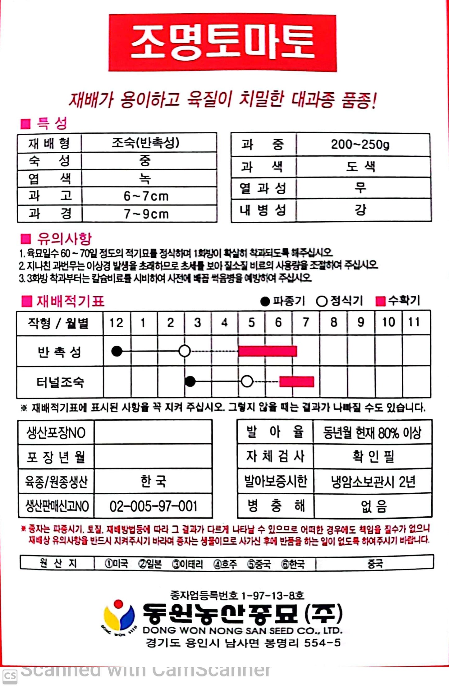 조명 토마토