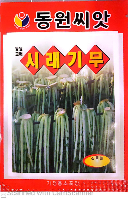 무우 시래기무 Siragie Radish