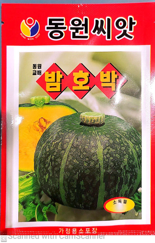 밤 호박  Sweet Pumpkin